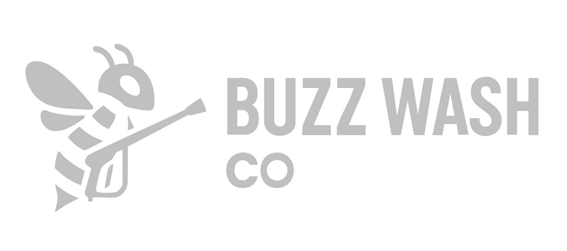 Buzzwash